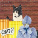 Chat?! Collage papier le Bureau du Secret